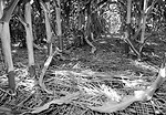 DSC_0076.jpg