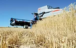 090821Ballensky-81.jpg