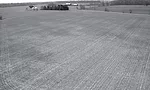NesterField2_BW.jpg
