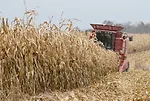 _DSC0110.jpg