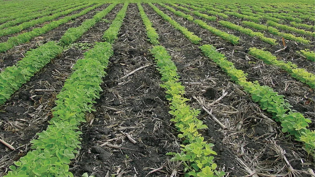 There's More To Soil Fertility Than N, P And K