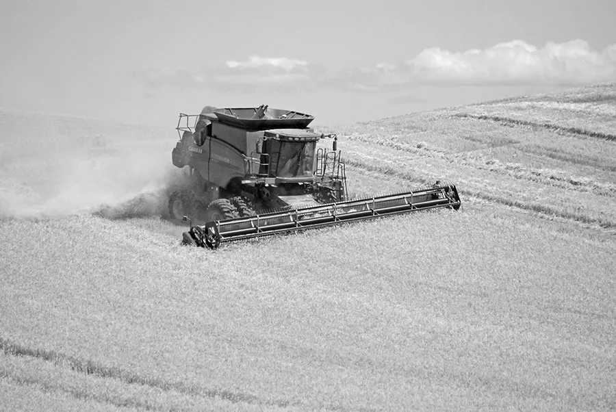735_Palouse_FL_0810BW.jpg