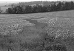 rye-waterway-drilled.jpg
