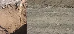 Ed-Winkle---Soil-Amendments.png