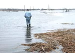 Flooded-2.jpg