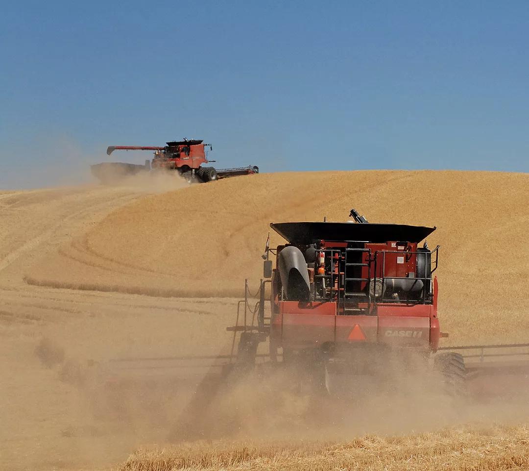 663_Palouse_FL_0810.jpg