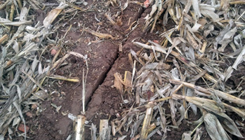 Ripping-soil.jpg