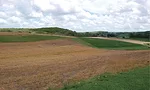 DSC_0256-copy.jpg
