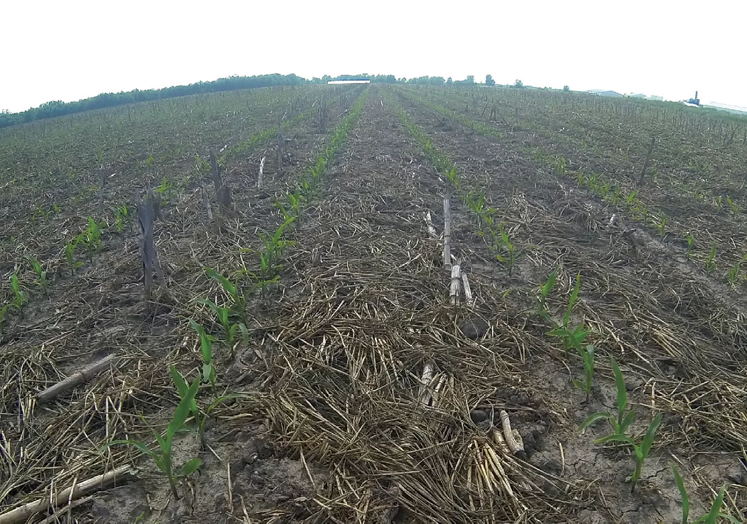 field
