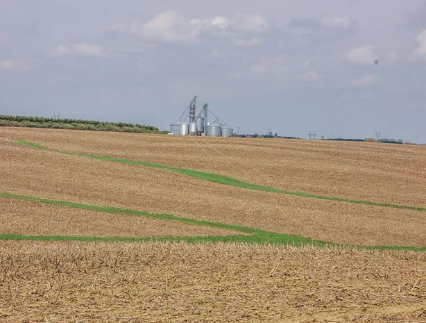 Schneckloth-7-2.jpg