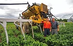 Brantonseeder2.jpg