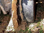 Alexander-worn-gauge-wheels.jpg
