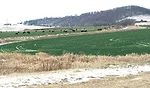 IMG_1644.jpg