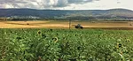 IMG_0021.jpg