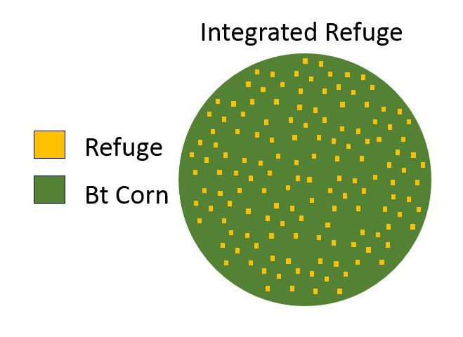 integrated refuge