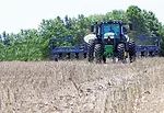 Planting_Lima_beans.jpg