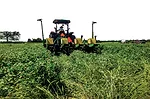 McElroy-Cover-Crop-0-1.jpg