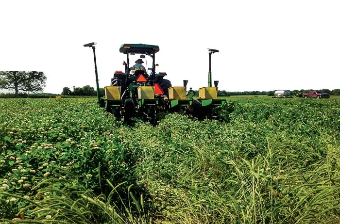 McElroy-Cover-Crop-0-1.jpg