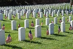 Memorial Day image