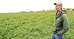 Nettekoven_Farm_1-2.jpg