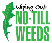 NTF Weeds