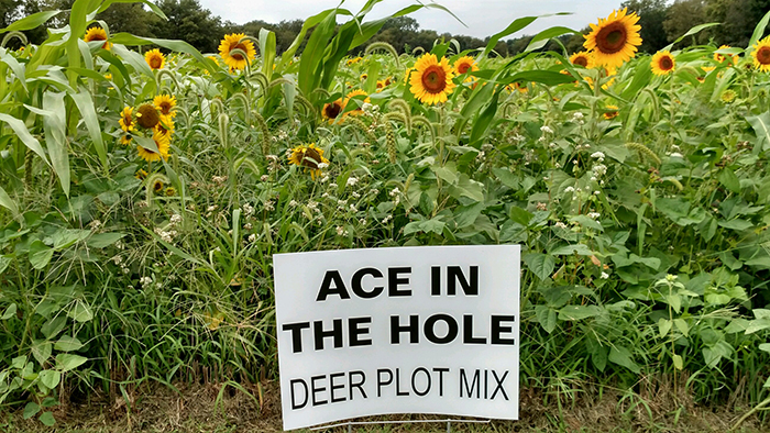 deer-plot-mix.jpg