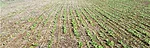 Seeding_covers-1.jpg