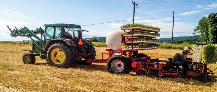 No-Tilling Tobacco Saves the Soil, Preserves Yields