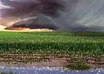 Climate-Change-Main-Image.jpg