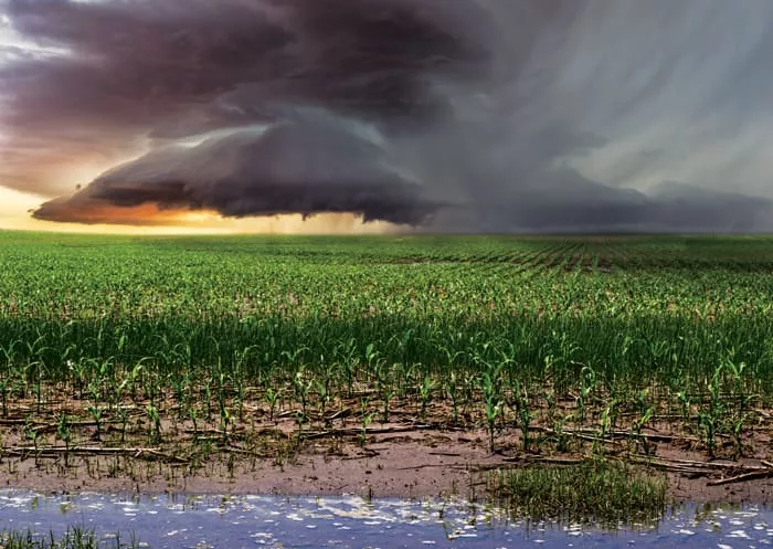 Climate-Change-Main-Image.jpg