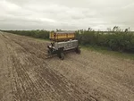 DOT Seeder
