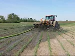 spring manure application