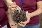 soil test sampling