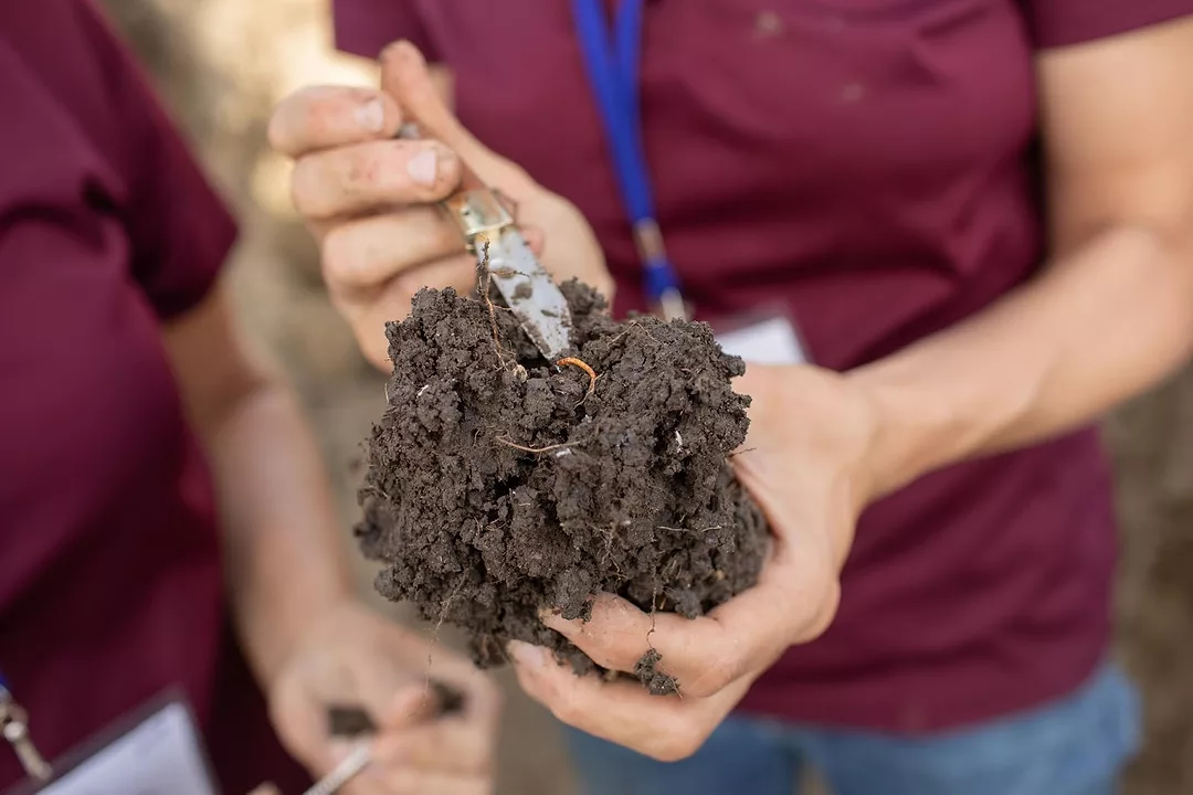 soil test sampling