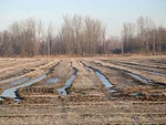 Deep Ruts