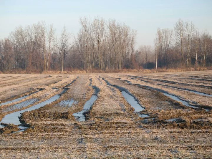 Deep Ruts