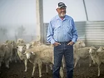 terry-sheep-2018-1.jpg