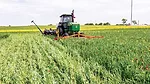 Low-biomass-covers