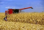 Nebraska Harvest