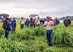 field-day