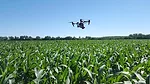 Nitrogen-Sensing Drone