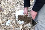 Spring soil health testing