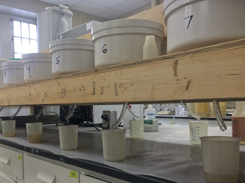 Soils in Laboratory