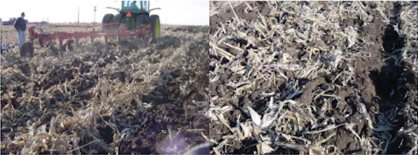 strategic tillage for improvement of no-till