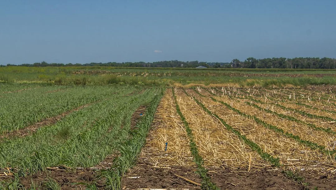 corn residue trials SDSU