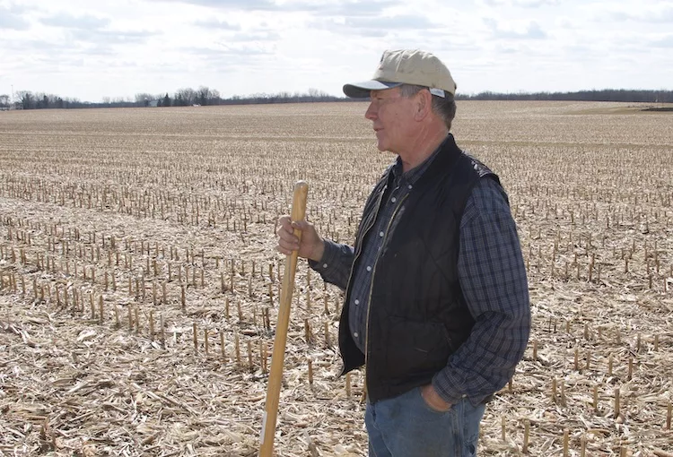 tony peirick in corn field