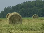 hay bale