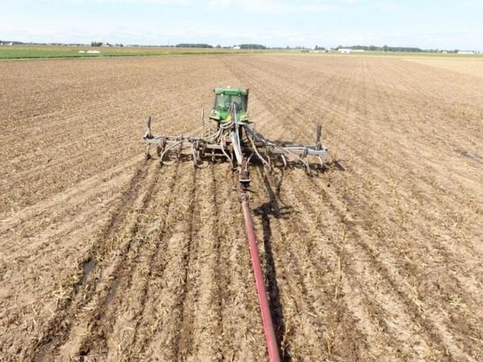 manure application on newly planted wheat