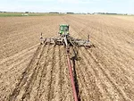 manure application on newly planted wheat
