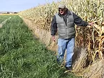 Dwayne Beck Dakota Lakes corn
